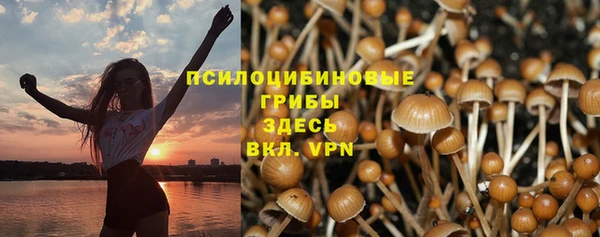 трава Алексин