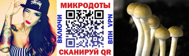 Галлюциногенные грибы Magic Shrooms Кинель