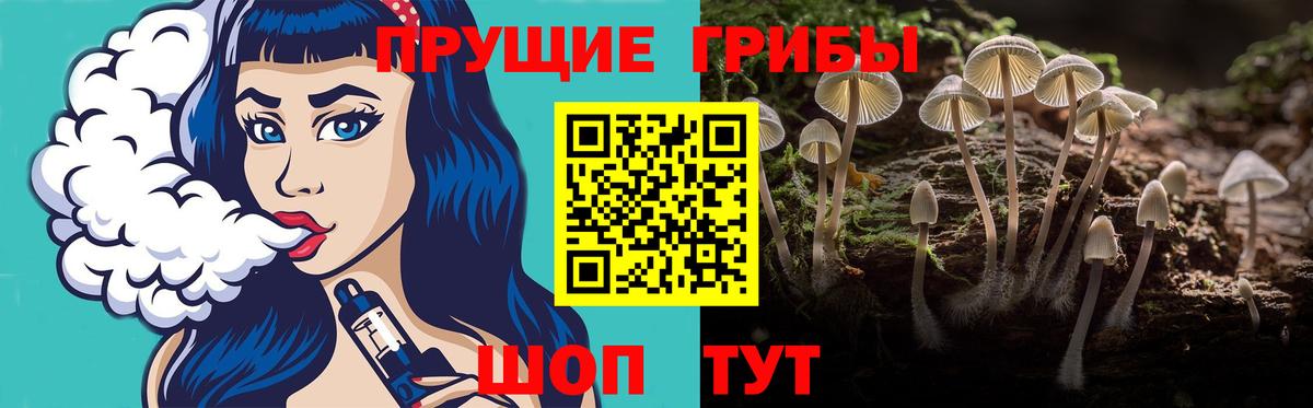 Кинель  Псилоцибиновые грибы MAGIC MUSHROOMS  Вход с VPN 